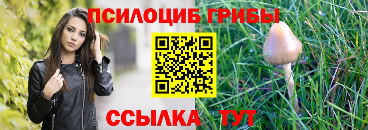 Сланцы  Псилоцибиновые грибы прущие грибы  Вход с VPN 